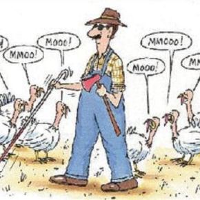 funny-thanksgiving-pictures-for-facebook-3