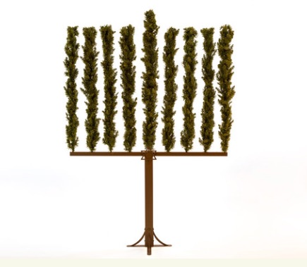 Menorah_Tree_is_the_Perfect_Option_for_Jewish_and_Interfaith_Families___Menorah_Tree