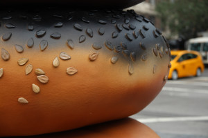 19881072222_b182847a3a_k